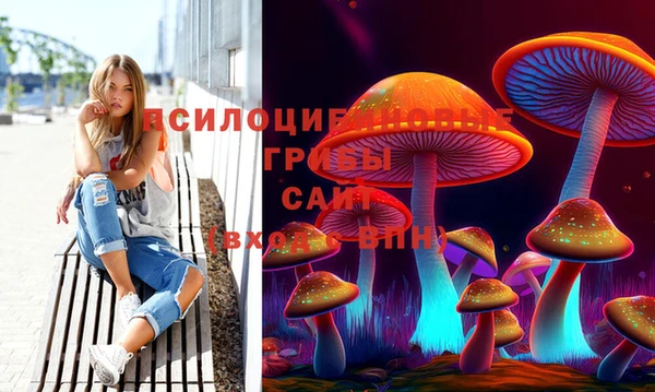 прущая мука Каменногорск
