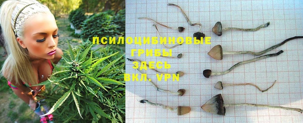прущая мука Каменногорск