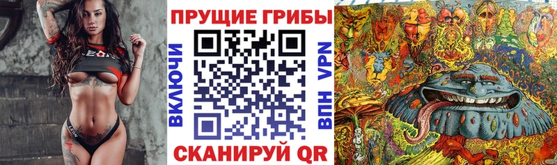 Псилоцибиновые грибы прущие грибы  Купить  Севастополь 